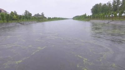 江陵县积极应对入汛以来连续降雨