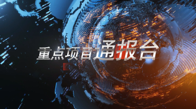 20190408重点项目通报台