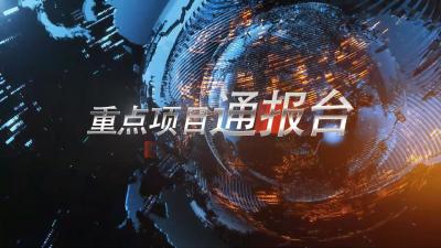 20190609重点项目通报台