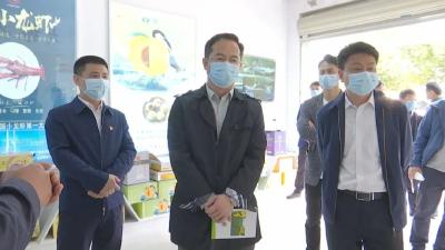 吴朝安调研我县乡村振兴工作