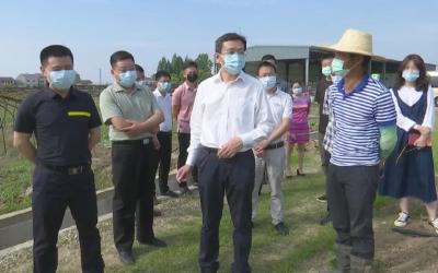 刘勇调研全县产业扶贫和乡村振兴工作