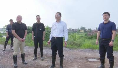 刘勇调研荆江大堤江陵段防汛工作
