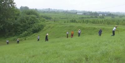 秦市乡：人员物资防疫三到位 固守辖区防汛一线