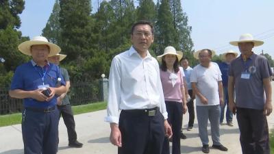 刘勇调研全县长江防汛工作