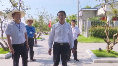 刘勇调研全县长江防汛工作