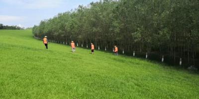 江陵县严阵以待迎战长江第4号洪水
