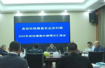 段晏昌视察县农业农村局2020年提案办理情况