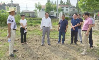 刘勇检查督办沙岗镇、白马寺镇  基层党建、脱贫攻坚、软弱涣散村整治等工作