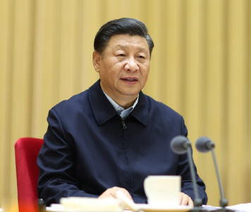 建设大美新疆，习近平强调这两种精神
