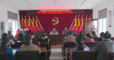 江陵县职业技能种养殖技术培训班开班