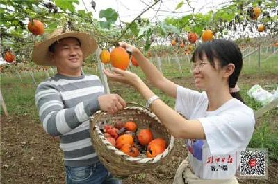 江陵县“十三五”专题报道·现代农业篇①｜产业结构全面优化 特色农业迅猛发展