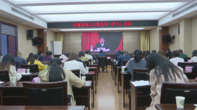 江陵县召开妇儿工委全体（扩大）电视电话会议