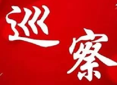 长江大保护专项巡察组进驻江陵