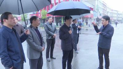 段昌林调研我县项目建设和人居环境整治情况