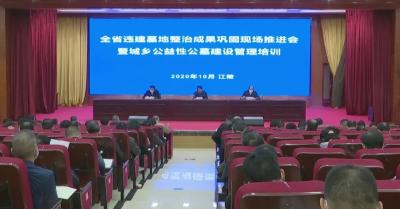 大！强！优！好！湖北省民政厅厅长对我县这项工作充分肯定