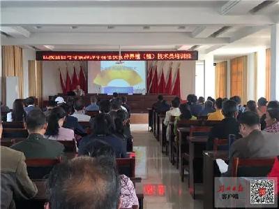 稳就业 保民生 促发展