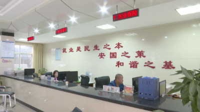 县公共就业和人才服务局：谱写春风就业曲