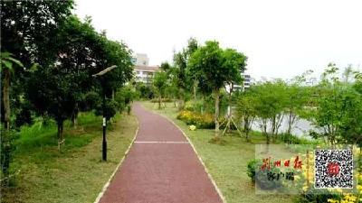 江陵县“十三五”专题报道·城市建设篇③｜建设园林县城 打造绿色家园