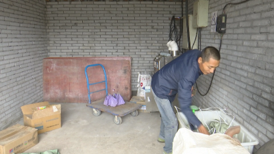 “我明年还要再养500头猪！”是什么让他说话这样有底气
