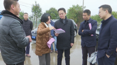 王焱群督导秦市乡农村“三资”清理和村级集体经济发展工作