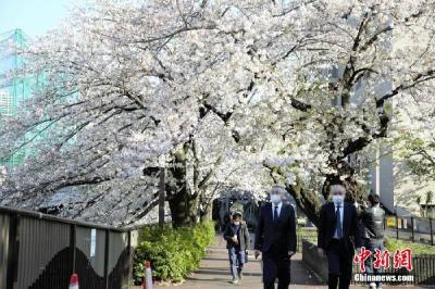因生态环境变化 日本这项持续近70年的观测活动将……