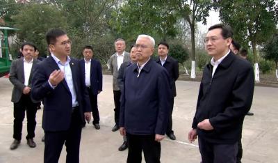 何光中调研江陵县长江禁捕退捕工作