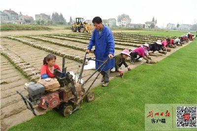 千里荆江奔小康 ｜决战决胜脱贫攻坚的“江陵答卷”