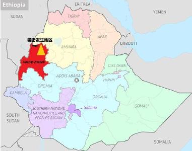 埃塞俄比亚发生袭击平民事件 至少100人死亡