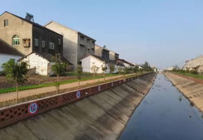 秦市乡这个地方“大变样”！手绘墙面，格桑花......太美了