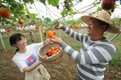 资市镇青山村：党建引治理 绿水绕青山