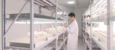 做好本地农业“桥头堡”，江陵这个地方这样干……