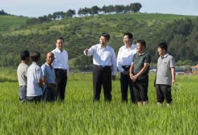 特殊之年 感受习近平的“三农”情怀