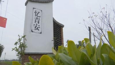 马家寨乡青安村：党员户“左三右三” 共建美丽新家园