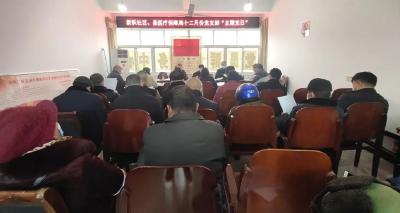 县医保局、郝穴镇新跃社区联合开展“主题党日”活动