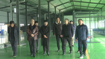 省商务厅调研江陵电子商务进农村综合示范工作情况