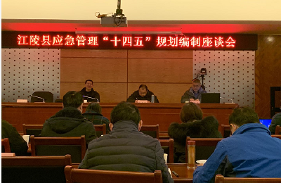 县应急管理局召开应急管理“十四五”规划编制座谈会