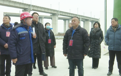 县人大视察江陵绿色能源化工产业园