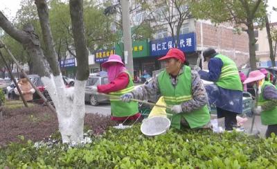江陵城区道路两旁林木穿“新衣”过冬