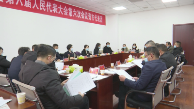 县第六届人大六次会议举行第三次分团审议
