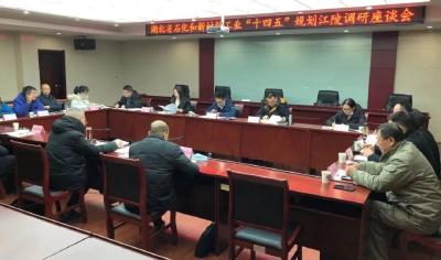 湖北省石化和新材料工业“十四五”规划编制调研组到江陵调研