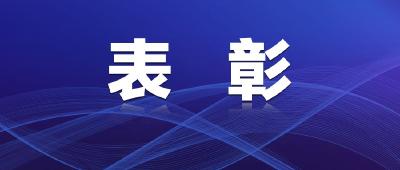 江陵这些集体和个人，荣获荆州市工业兴市高质量发展先进称号