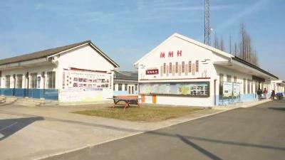 郝穴镇颜闸村：“数字乡村”赋能乡村治理新模式