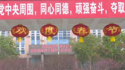 大红灯笼高高挂 喜气洋洋迎新春