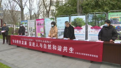 县自然资源和规划局开展野生动植物保护主题宣传活动