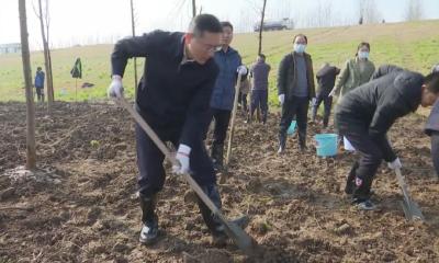 江陵县“四大家”领导参加义务植树活动