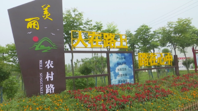 新起点新画卷丨解锁白马寺镇农业强镇促发展的密码
