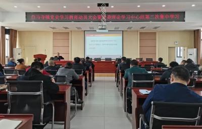 白马寺镇开展党史学习教育动员大会暨党委理论学习中心组第二次集中学习