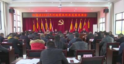 江陵县召开2021年村级集体经济发展现场会