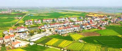 走进村级集体经济发展示范村丨普济镇林口村：党建引领发展产业支撑振兴