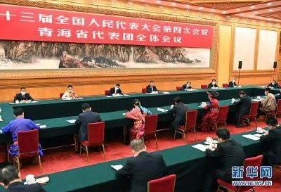 习近平参加青海代表团审议